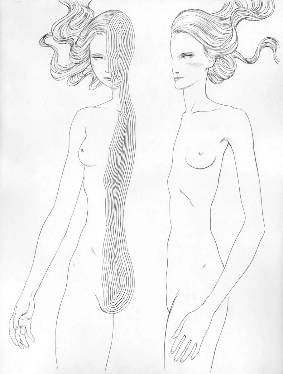 OVM Strata Drawing - Image 3