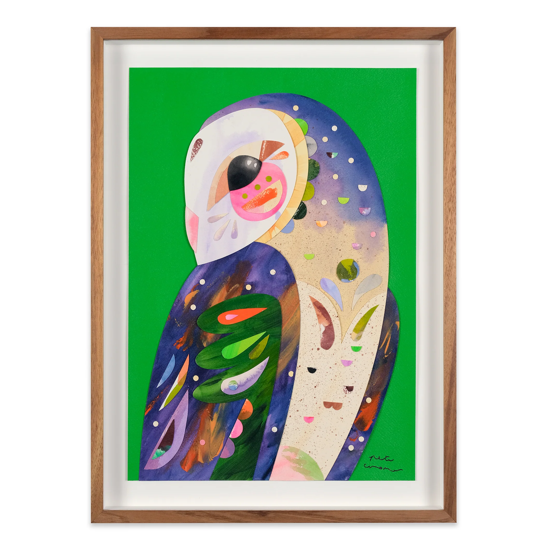 Eastern Grass Owl