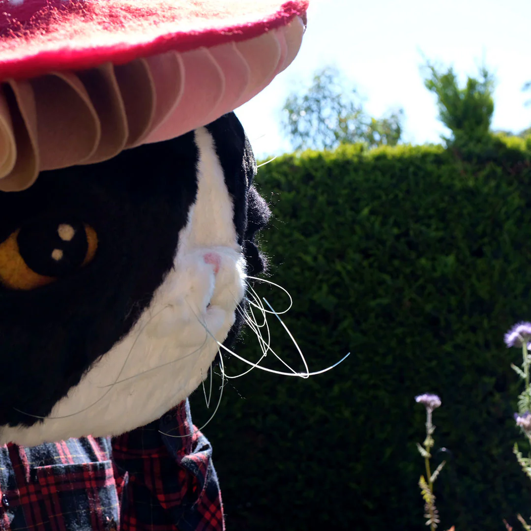 Porco Cap - Image 2