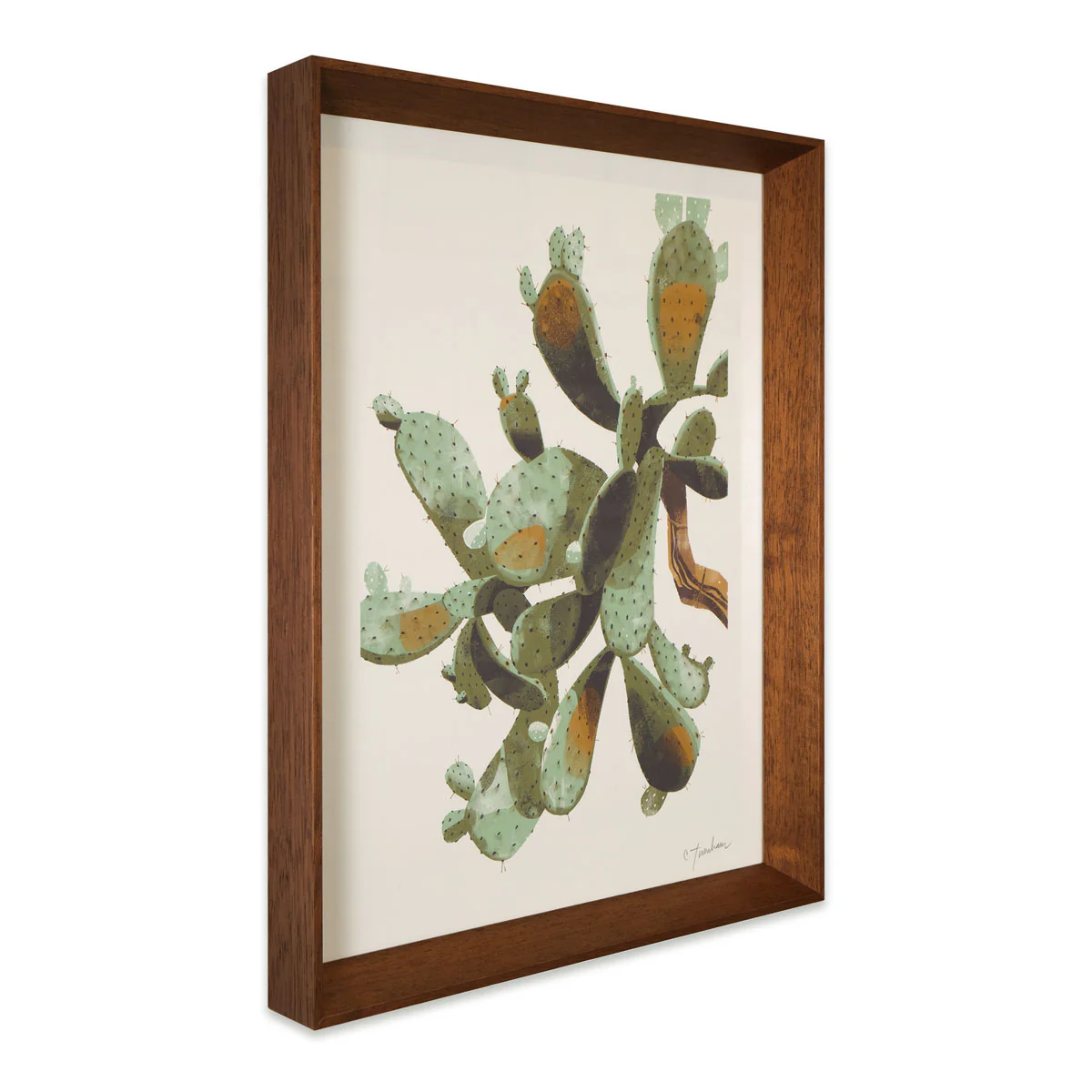 Prickly Pear - Image 3
