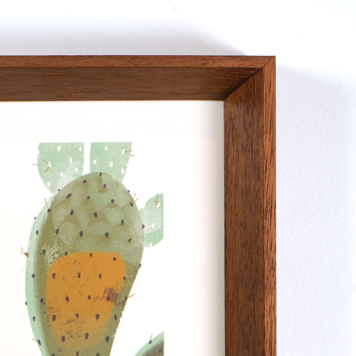 Prickly Pear - Image 4
