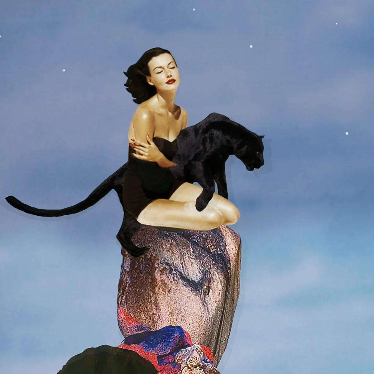 Liberation of the Phantom Cat - Image 3