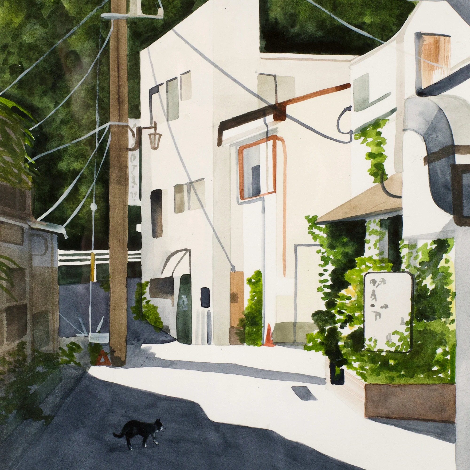 Roaming - Image 3