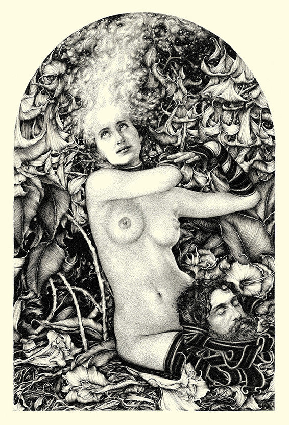 Salomé - Image 2