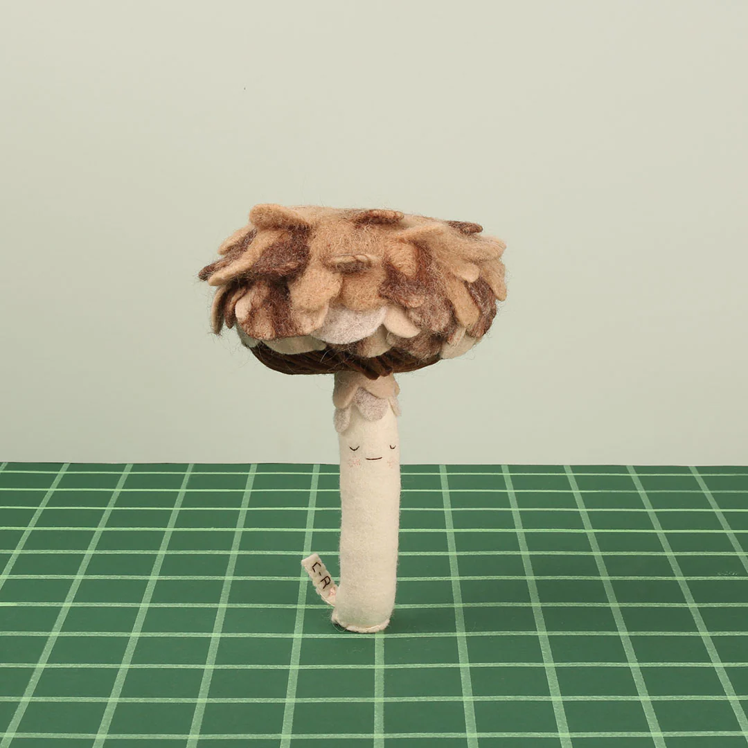 Shaggy - Image 2
