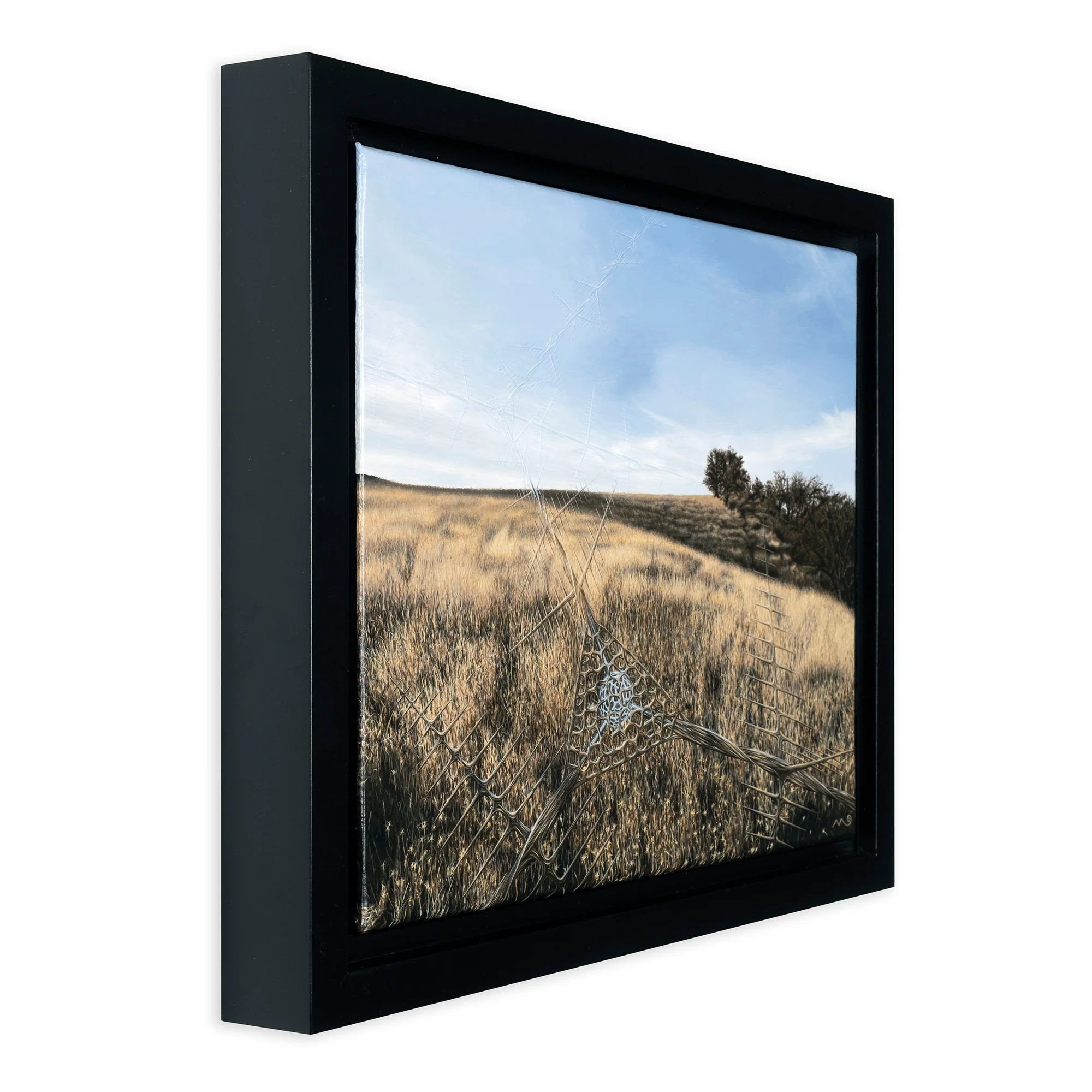 Signals - Image 2
