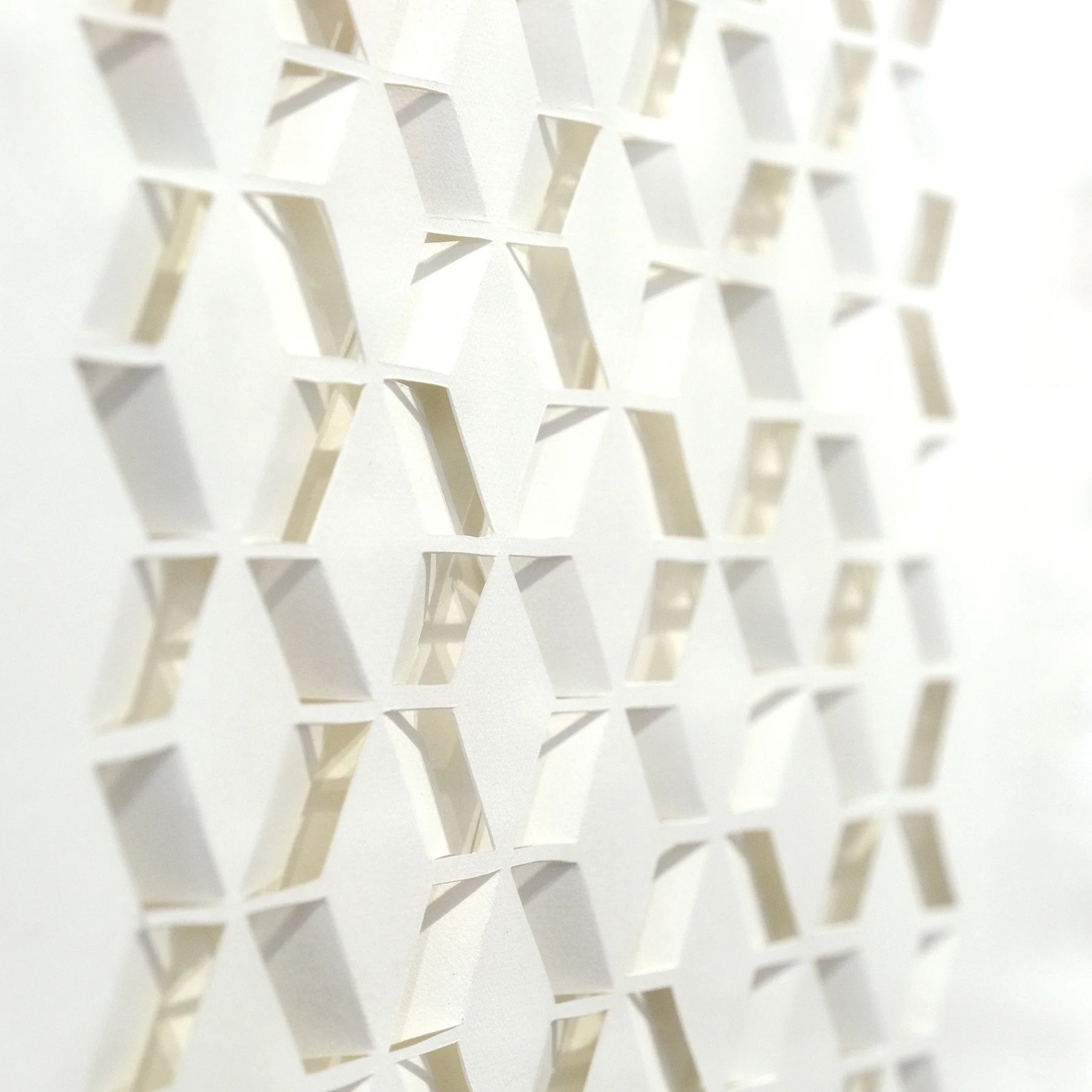 Untitled 2024 - Image 3