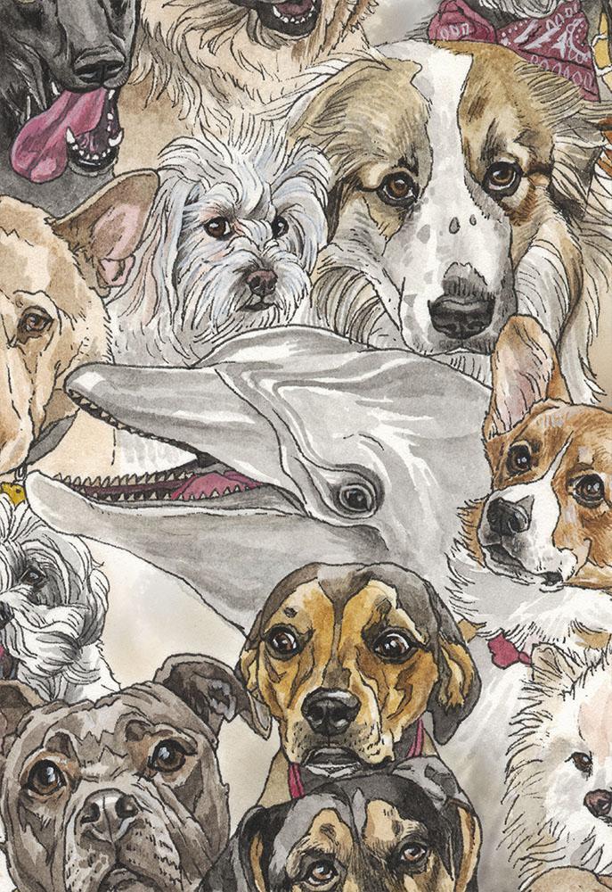 Year of the Dog - Image 3