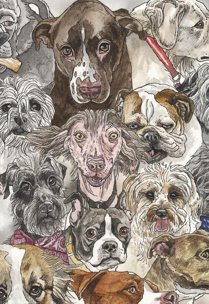 Year of the Dog - Image 4