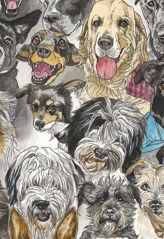 Year of the Dog - Image 5