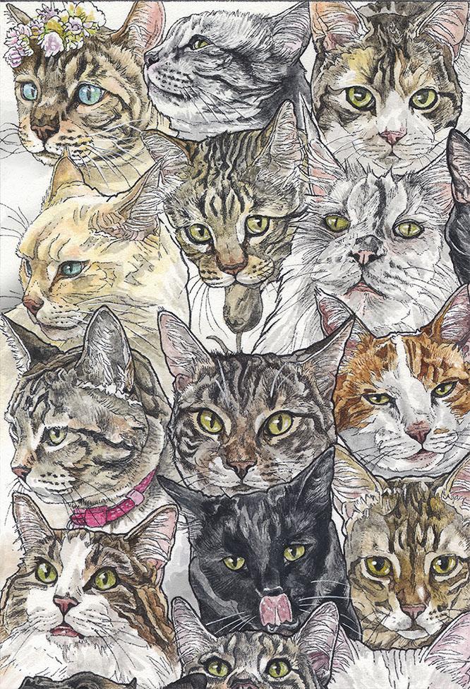 Year of the Pig (aka Cat) - Image 4